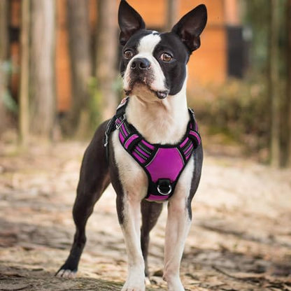 rabbitgoo Dog Harness Small Sized, No Pull Dog Vest with 3 Buckles, Adjustable Soft Padded Pet Harness with Easy Control Handle and Reflective Strips, Purple, S - color: Purple, size: Small
