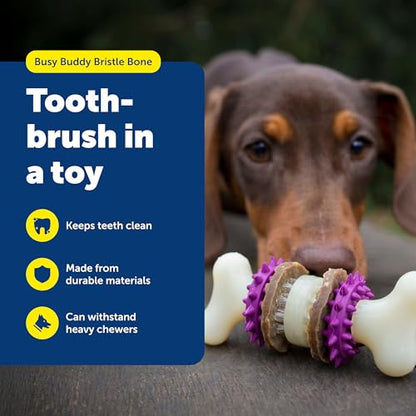 PetSafe Busy Buddy Bristle Bone Dog Chew Toy - Treat Holding Toothbrush Toy for Hard Chewers - Helps Keep Your Dog's Teeth Clean - Durable, Interactive - Purple, Extra Small - size: Extra Small, style: Bristle Bone