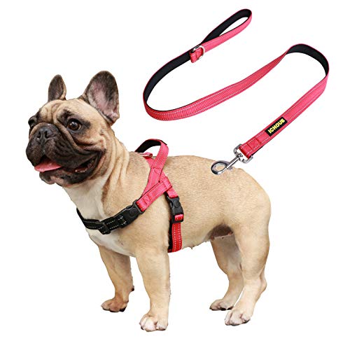 iChoue French Bulldog Harness and Leash Set Adjustable Padded Locked Buckle with Handle for Frenchie Pug English Boston Terrier Dogs, Red, Small - color: A Harness with Leash Red, size: Small ( 5 - 25 lbs )