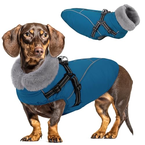 Queenmore Small Dog Coat,Dog Coat for Small Dogs,Reflective Windproof Dogs Jackets with Built-in Harness,Doggy Winter Jacket with Zipper On Back,Warm Pet Coats with Fleece Lining,Blue,S - color: Blue, size: Small