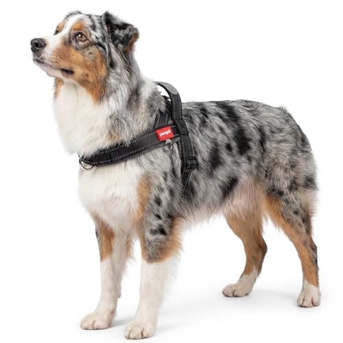 No Pull Dog Harness with Handle, Corgi Adjustable Reflective Dog Vest, Breathable Air Mesh Padded Pet Harness with Front Leash Clip for Small Medium Dogs, Black, XL - color: Black, size: X-Large