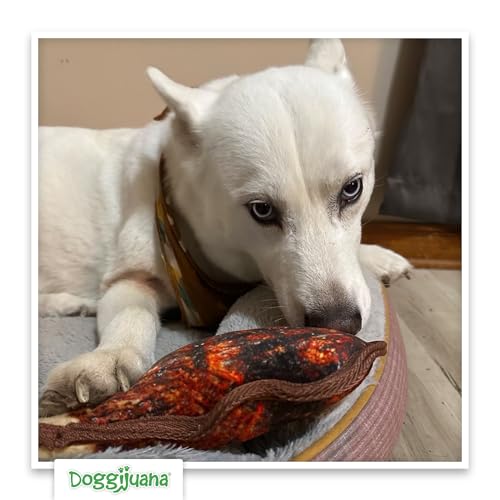 Doggijuana Doggi Duo Refillable Juananip Toy Bundle | Tomahawk & Juananip | Funny Dog Toy Plush with Catnip and Refill | Interactive Chew for Play - style: Tomahawk & Juananip