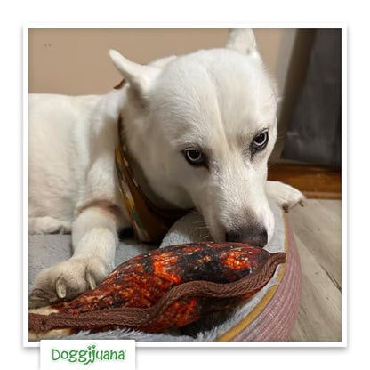 Doggijuana Cafe Combo Refillable Juananip Toy Bundle | Tomahawk Steak & Grilled Kebab | Funny Dog Toy Plush with Catnip and Refill | Interactive Chew for Play - style: Tomahawk Steak & Grilled Kebab