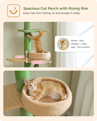 PETEPELA Floor to Ceiling Cat Tree [87"-100"] Height Adjustable, 5 Levels Cactus Cat Tower with Perch&Replaceable Hammock(Visible Acrylic Bowl), 4.1" Super Robust Cat Scratcher, Cactus Green