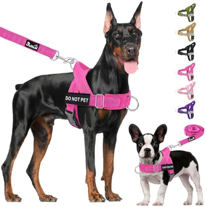 Lukovee No Pull Dog Harness and Leash Set - Heavy Duty Dog Vest with Soft Velvet Padding for Medium Large Dogs, Adjustable Reflective Tactical Harness with 2 Control Handles & Front Clip (M, FU) - color: Fuchsia, size: Medium