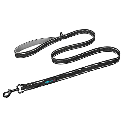 PHOEPET 5 Feet Heavy Duty Dog Leash - Reflective - Soft Padded Handle Traffic Grip for Extra Control (L,Grey) - color: Grey