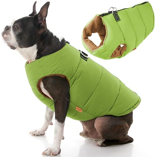 Gooby Padded Vest Dog Jacket - Solid Green, X-Small - Warm Zip Up Vest Fleece Jacket with Dual D Ring Leash Water Resistant for Small to Medium Dogs - color: Green Solid, size: X-Small