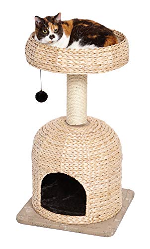 MidWest Homes for Pets Cat Tree |Scout Cat Furniture Cat Activity Tree w/Sisal Wrapped Support Scratching Posts & Dangle Play Balls, Woven Rattan & Script Small Cat Tree - size: Scout Woven Rattan/Script