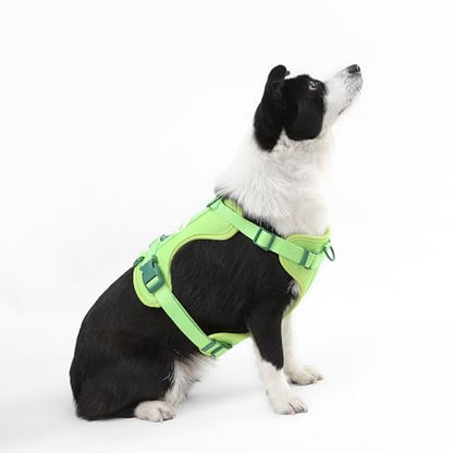 HNS1003B Arlo Large Adjustable Soft Padded No Pull Pet Harness with 3 Buckles and 3 Leash Clips, Mojito - color: Light Green, size: Large (Chest: 24 - 37")