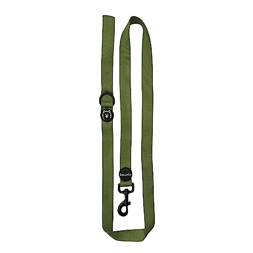 ShawnCo Dream Walk Dog Leash- Premium, Nylon Pet Leash with Soft Neoprene Handle for Small, Medium and Large Dogs (Olive Green, Small) - color: Olive Green, size: Small