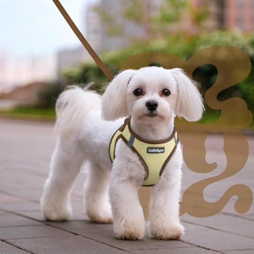 rabbitgoo Dog Harness Small Sized and Leash Set, Step-in Breathable Pet Harness, Soft Walking Reflective Puppy Vest for Small Dogs, Beige & Coffee, XXS - color: Beige & Coffee, size: XXS (Chest: 12.4 - 14.2")