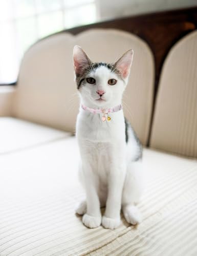 Cat Collar Breakaway with Bells,3 Pack Safety Adjustable Pet Collars,Ideal for Girl Boy Kittens. (White Yellow Pink) - color: white yellow pink