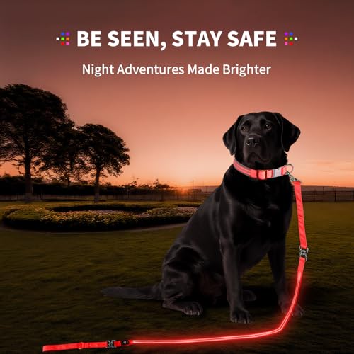 Night Walking LED Dog Leash - 6FT Reflective & Waterproof Light Up Safety Leashes for Dogs - USB Rechargeable, Red - color: Red(Fiber optic version)