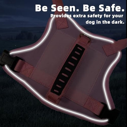 AIITLE Small Dog Harness No Pull, Reflective Adjustable Vest with Handle, No Choke Design, Dual Metal Leash Clips for Walking Training Running Camping, Small Medium Breeds - Pink XS - color: Pink, size: XS