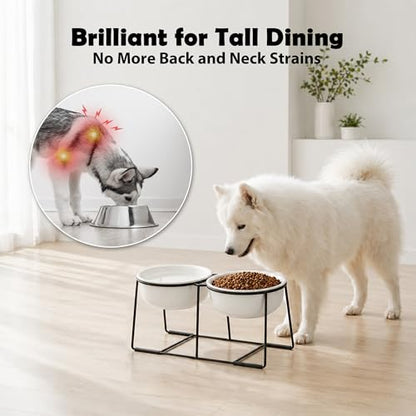 Ceramic Elevated Dog Bowl Set - Raised Double Feeding Bowls with Metal Stand - Pet Dishes for Medium and Large Dogs - 5.8 Cups - 47.3 fl oz - Matte White - color: Matte White, size: XL-800ml