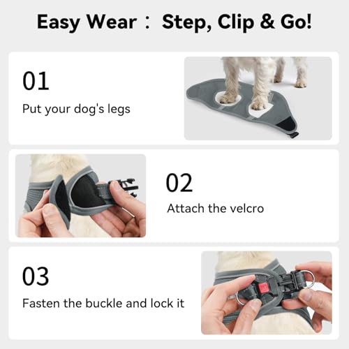 Joytale Small Dog Harness, Breathable Mesh Step-in Vest, Reflective Soft Padded Harnesses for Cats, Puppies and Extra Small Dogs, Gray, XXS - color: Gray, size: XXS--Chest: 12-13.5''