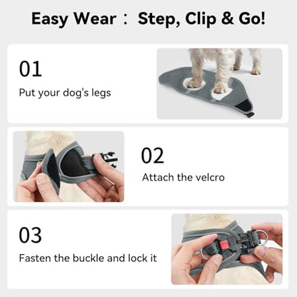 Joytale Small Dog Harness, Breathable Mesh Step-in Vest, Reflective Soft Padded Harnesses for Cats, Puppies and Extra Small Dogs, Gray, XXS - color: Gray, size: XXS--Chest: 12-13.5''
