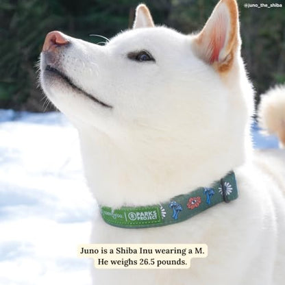 Lucy & Co. x Parks Project Power to the Parks Dog Collar, Adjustable Durable Dog Collar with Cute Print, Small - color: Power to the Parks, size: Small