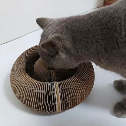 Cat Toy, Cat Scratcher, Reversible Infinity Style Magic Organ, Scratch-Resistant and Abrasion-Resistant, Foldable Cat Toys for Indoor Cats - color: Cat