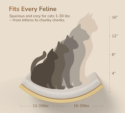 Cat Wall Shelves and Cats Window Perch – Natural Wood 4-Piece Set with Foam-Padded Curved Bed and Felt Steps, Space-Saving Wall Mounted Design - color: Foam/Felt-Wood, size: 1 Curved Bed 1 Shelf 2 Steps