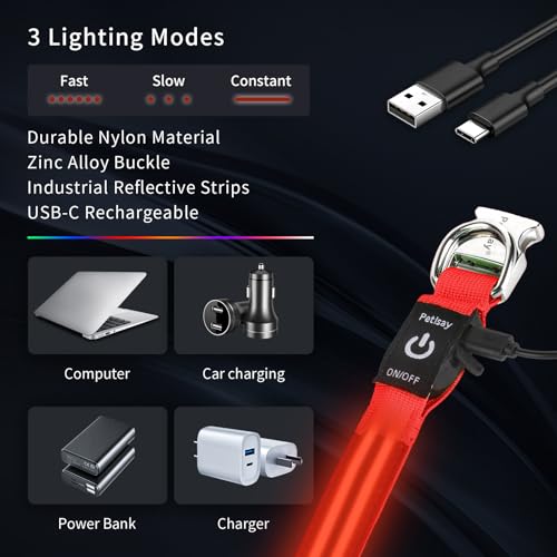 LED Dog Collar with Metal Buckle - USB Rechargeable Glow Collar for Dogs, Waterproof Light Up Dog Collar w/Reflective Strips - Adjustable Night Safety Collars by PetIsay(Red, Small) - color: Red(Fiber optic version), size: Small (11" - 15½ ")