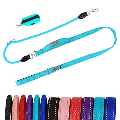 6FT Heavy Duty Dog Leash for Small Medium Large Dogs, Tangle Free Reflective Dog Training Leash with Double Handle, Seat Belt Buckle & Poop Bag Holder (Blue) - color: Blue, size: 6FT