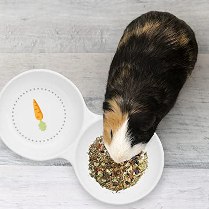 Navaris Double Food Bowl for Small Animals - Ceramic Food Bowls for Rabbits, Guinea Pigs, Small Pets - Rabbit Water Dish - Carrot and Grass Design - color: White