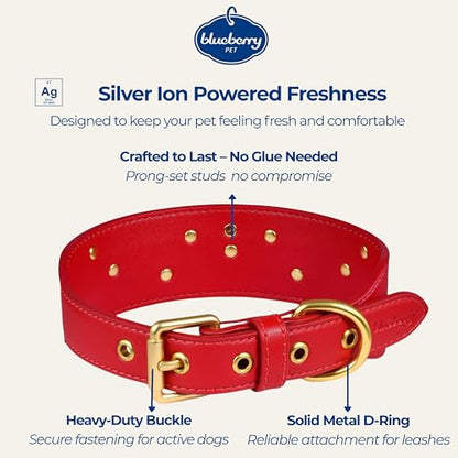 Blueberry Pet Premium Embossed Red Glam Silver-Powered Freshness Microfiber Leather Dog Collar with Gold Studs - color: Red, size: Medium
