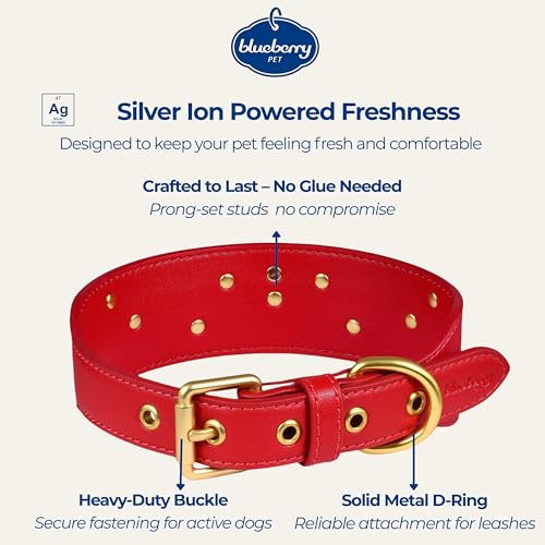 Blueberry Pet Premium Embossed Red Glam Silver-Powered Freshness Microfiber Leather Dog Collar with Gold Studs - color: Red, size: Large