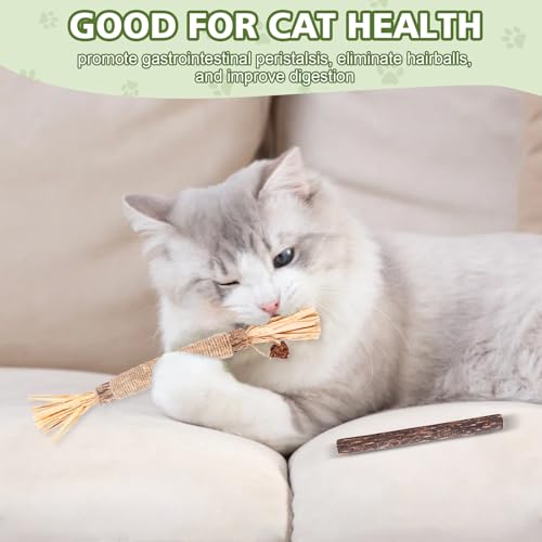 WOUSEDO 6 Pack Silvervine Sticks Cat Toy, Natural Chew Stick for Dental Care Teeth Cleaning,Matatabi Cat nip Treat Toys for Indoor Cats& Kittens - size: 6 PACK