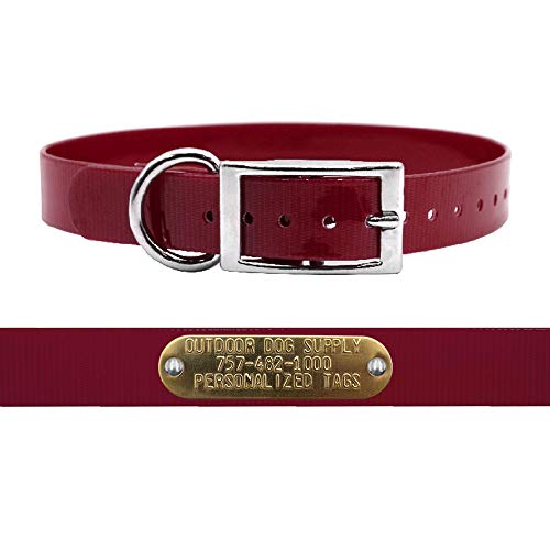 Outdoor Dog Supply 1" Heavy Duty Waterproof D-Ring Dog Collar for Medium & Large Dogs with Custom 3/4" Brass Nameplate (Burgundy, 21") - color: Burgundy, size: 21" Long