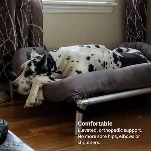Kuranda Chewproof Elevated Dog Bed - Silver Aluminum - 50" x 36" - Heavy Duty Vinyl - Burgundy - color: Burgundy, size: XX-Large