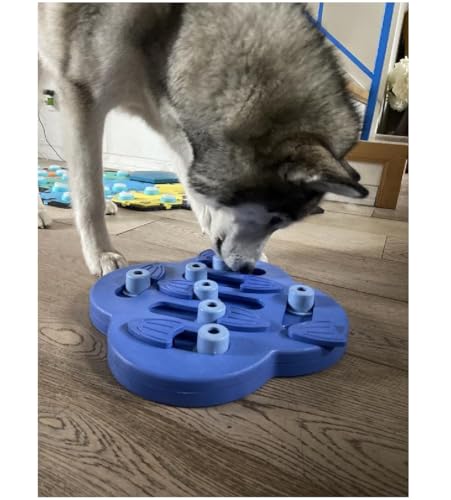 Interactive Dog and Cat Games Treat Hiding Challenge Mental Stimulation with Rewards (11.6 Inch Hide and Slide Game) - size: 11.6 Inch Hide and Slide Game