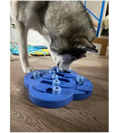 Interactive Dog and Cat Games Treat Hiding Challenge Mental Stimulation with Rewards (11.6 Inch Hide and Slide Game) - size: 11.6 Inch Hide and Slide Game