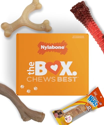 Nylabone Dog Gift Box, Includes 3 Strong Chew Toys and 1 Natural Treat, Gifts for Dogs, Large - Up to 50 lbs, 4 Pack - size: Large (4 Count)