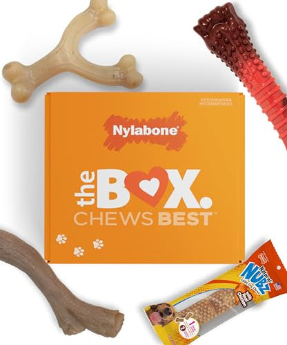 Nylabone Dog Gift Box, Includes 3 Strong Chew Toys and 1 Natural Treat, Gifts for Dogs, Large - Up to 50 lbs, 4 Pack - size: Large (4 Count)