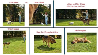 PET Wrangler 2.0 - Upgraded Flirt Pole for Dogs, Interactive Dog Toy with Reinforced 50" Pole &10ft Cord, Creates Extended Play Area, 3 Changeable Lures for Training, Exercise, & Enrichment