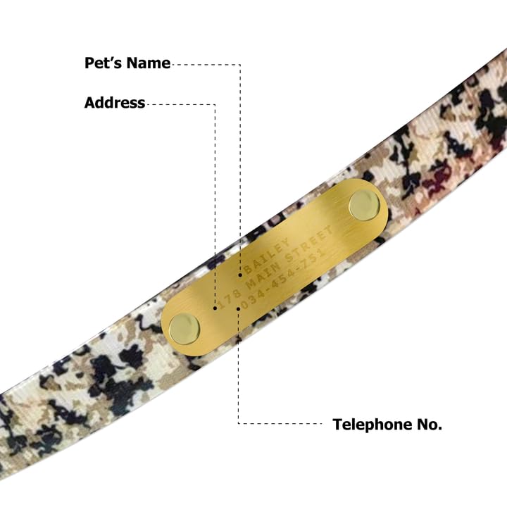 Regal Dog Products Small Camo Hunting Dog Collar with Custom Engraved Name Plate and Black Hardware | Waterproof Personalized Dog Collars for Small Dog & Puppy | Other Sizes for Medium & Large Dogs - size: Small, style: Digital Camouflage