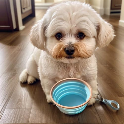 2piece Collapsible Pet Bowl 11.8oz Portable Dog Cat Food Water Bowl with Carabiner Foldable Travel Feeding Dish for Outdoor Walking Hiking