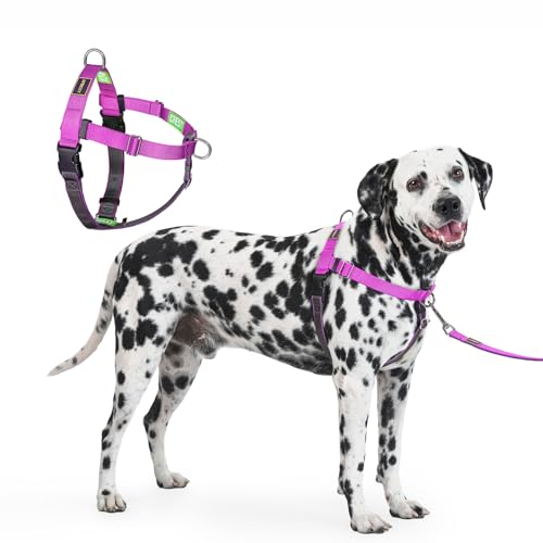 Freedom No Pull Dog Harness for Large Dogs, Front Clip, Easy Walker, Anti Pull with Two Stainless D-Rings, Comfortable, Sewn-in Instructions Tags for Easy Use (Purple, XXL) - color: Purple, size: XX-Large