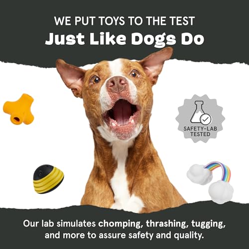Barkbox Pork Chomp Dog Toy for Durable Tough Nylon Construction with a Gnaw-Friendly Texture, Perfect for Long-Lasting Chewing Fun - Medium - style: Pork Chomp