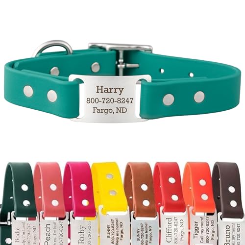 dogIDs Personalized Dog Collar – ScruffTag Custom Waterproof Biothane Dog Collar with Laser-Engraved Name, Durable & Odor-Resistant – USA Made | Teal, 1 in x 16 in (Fits Neck Sizes 14-18 in) - color: Teal, size: 1 in x 16 in (Fits Neck Sizes 14-18 in)