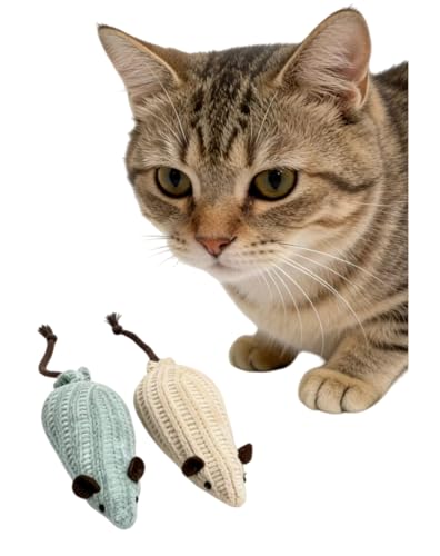2 Pack Cat Mouse Toy Mouse Toys for Cats Cat Toy Mouse Cat Toys Mice Soft Plush Cat Chew Toy with Catnip for Kitten Interactive Play
