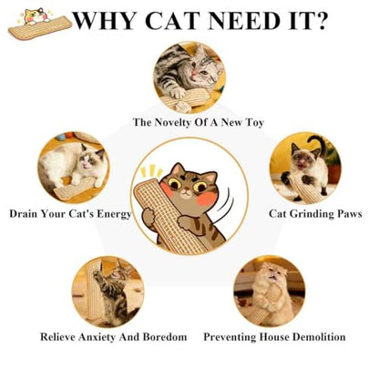 Catnip Chew Toy, Cat Toys Pack of 5 with 3 Lamb-Scented Wool Balls, Interactive Catnip Chew Toy, Soft Sisal Material, 6000mg of Catnip, Suitable for Indoor Scratching, Chewing, and Teething