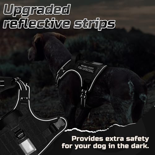 rabbitgoo Tactical Dog Harness Medium Sized Dog, No Pull Military Service Vest with Handle & Molle, Easy Control for Training Walking, Adjustable Reflective Straps, Black, M - color: Black, size: Medium