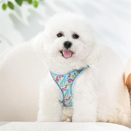 Step in Dog Harness No Pull Dinosaur Adjustable Soft Mesh Padded Reflective Pet Vest Harness and Leash Set for Small Medium Dogs - color: Blue, size: XS(neck:9.5"-10.5",chest:11.5"-13.5")