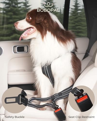 Hands Free Dog Leash with Ergonomic Waist Belt, Zipper Pouch, Reflective Bungee & Double Handle, for Medium & Large Dogs (20–100 lb), Walking, Running & Car Travel