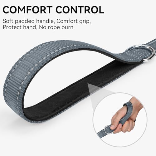 Joytale Dog Leash, 4 FT Double-Sided Reflective, Padded Handle Nylon Heavy Duty Leashes for Small Dogs Walking, Grey - color: Grey, size: 4 ft Narrow