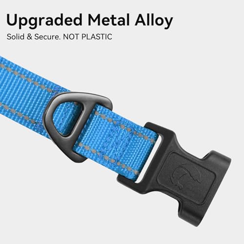 Joytale Reflective Dog Collar,Soft Neoprene Padded Breathable Nylon Pet Collar Adjustable for Puppy and Small Dogs, Sky Blue,XS - color: Sky Blue, size: X-Small (Pack of 1)
