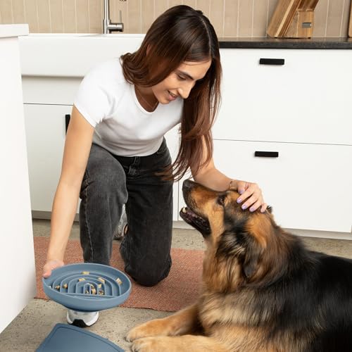 Should We Go? Slow Feeder for Dogs & Puppies, The Slowdown Bowl Silicone Slow Eating, Modern Lick Mat Design, Reduces Gulping, Fits 2.5 Cups, 9.5” Across x 1.5” Tall, Mealtime Challenge, Large-Ocean - color: Ocean - Rainbow Design, size: Large (9.5” Acros